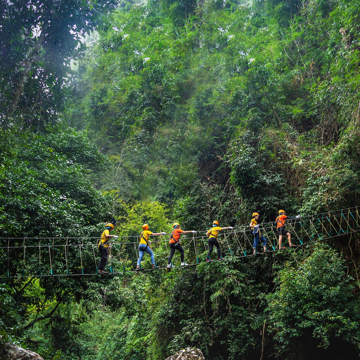 -hike jungle bridge