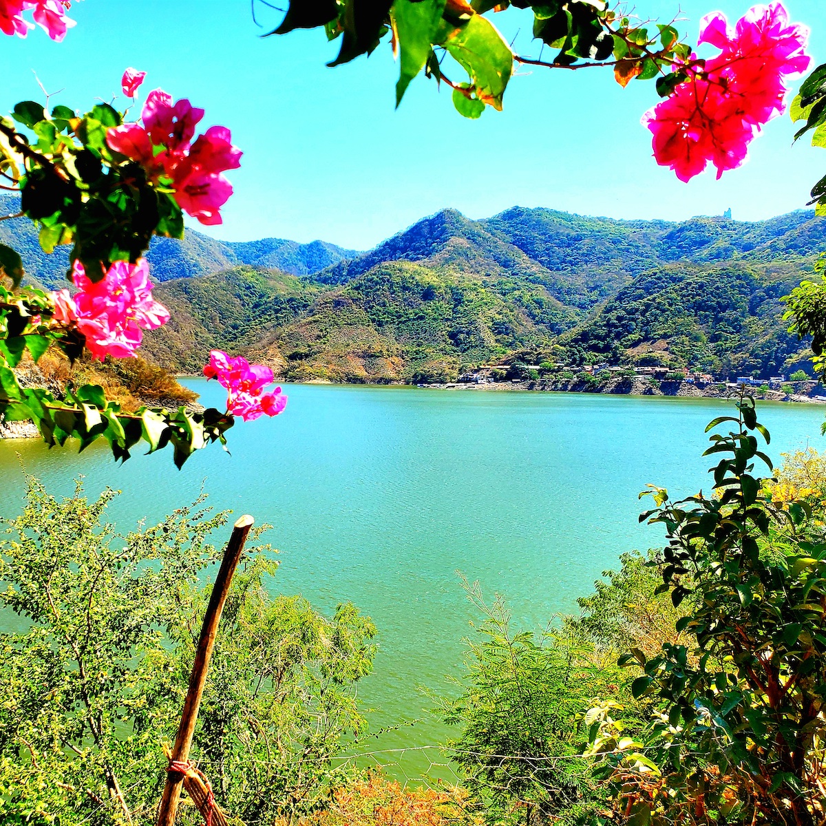 outreach beautiful flowers overlook huichol lake